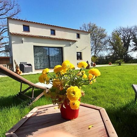 Villa Sandrine, Confortable Et Cosy Proche D'Aix En Provence Meyrargues Exteriér fotografie